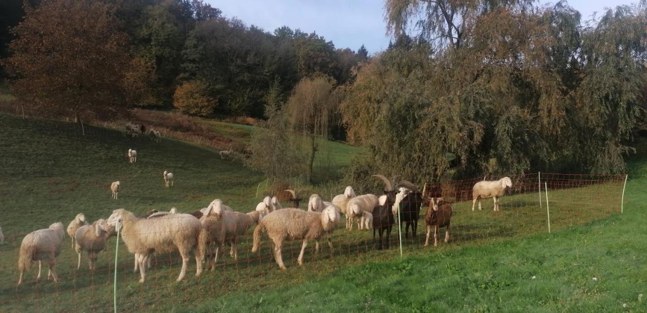 فندق Antica Cascina Del Medico Muzzano المظهر الخارجي الصورة